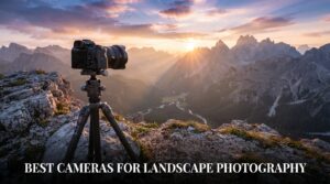 best cameras for landscape photography