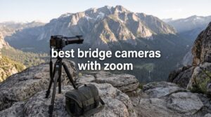 best bridge cameras with zoom