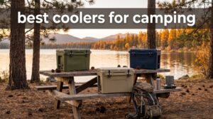 best coolers for camping