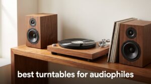 best turntables for audiophiles
