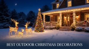 best outdoor christmas decorations