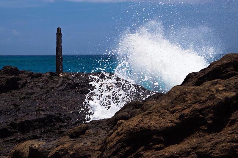Understanding Exposure, Fourth Edition: How to Shoot Great Photographs with Any Camera customer photo 2