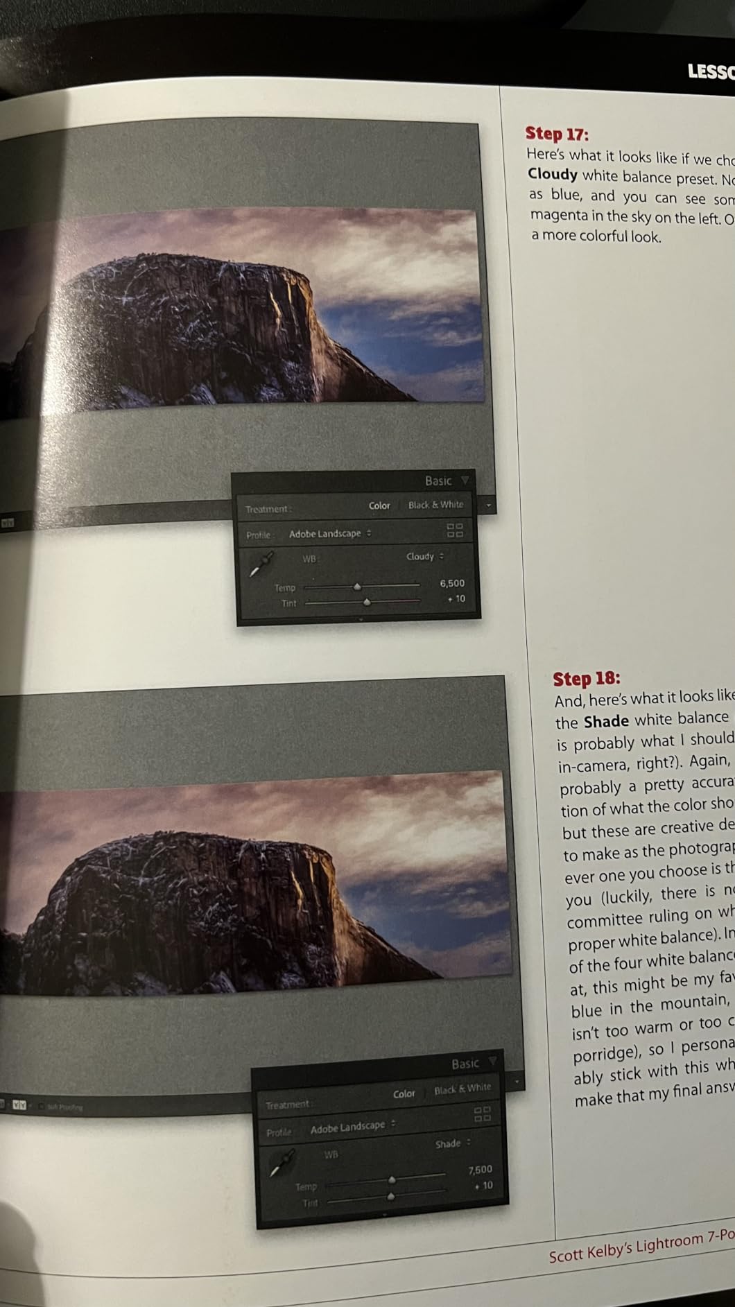 Scott Kelby's Lightroom 7-Point System customer photo 1