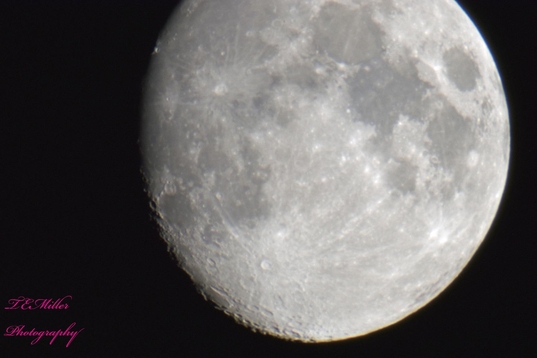 Celestron Universal 1.25