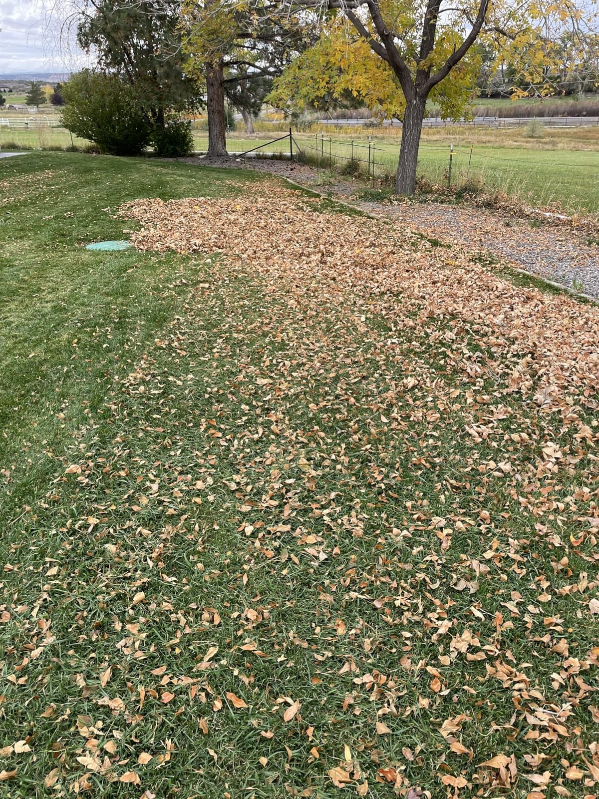 Agri-Fab 42 In Tow-Behind Lawn Sweeper with 12 Cu Ft Hopper Bag, Adjustable Brush Height and Easy Dump Rope customer photo 2