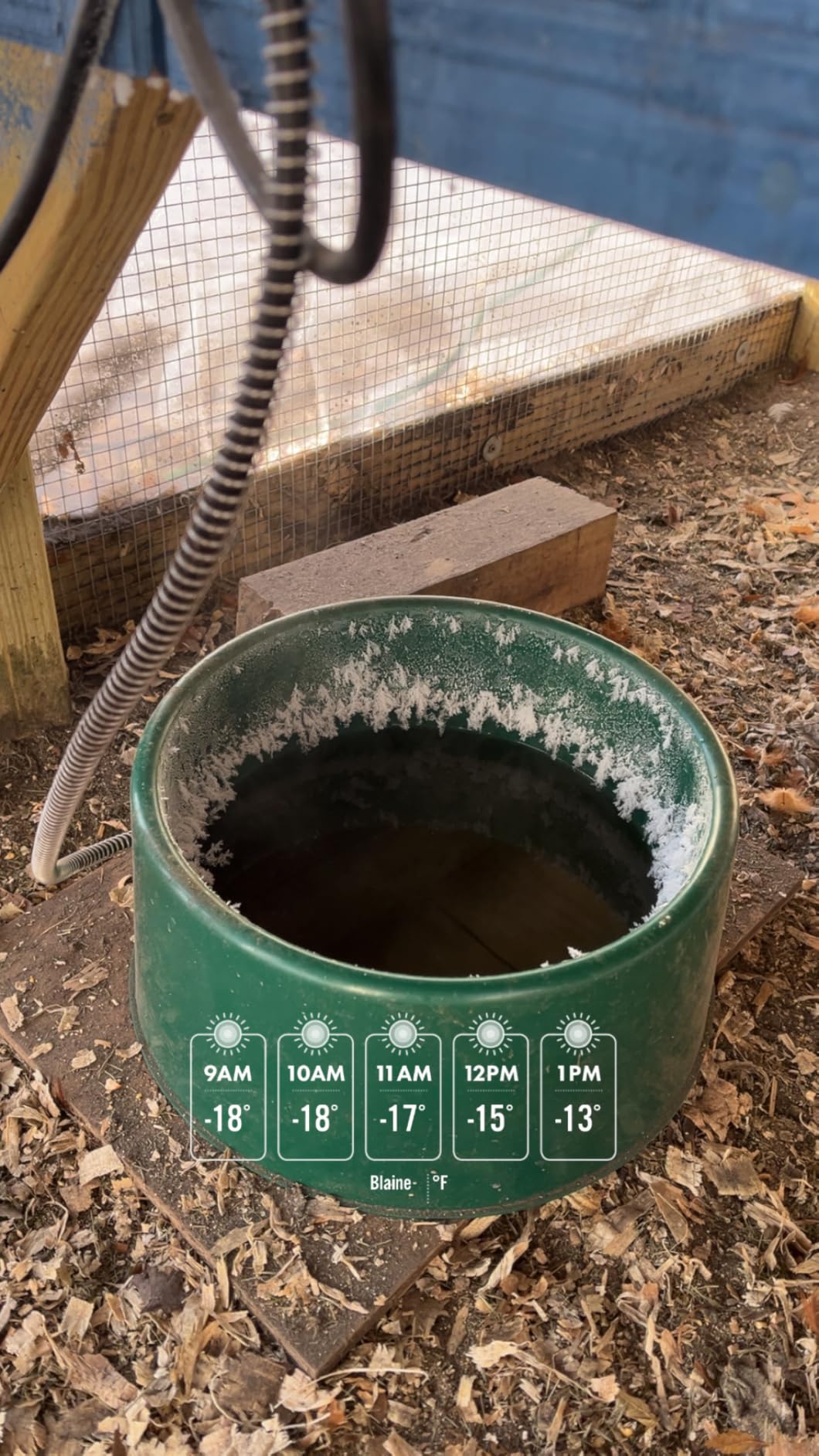 Farm Innovators Heated Pet Water Bowl, 60W, 1.5 Gallon | Plastic Heated Water Dish, Watering Station with Anti-Chew Cord Protector for Dogs & Cats customer photo 1