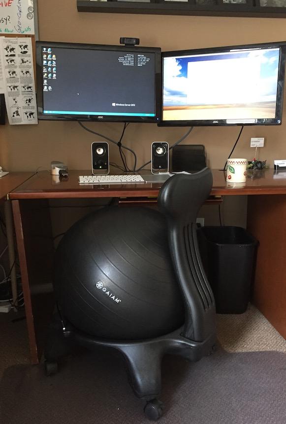 Gaiam Classic Balance Ball Chair, Stability Seat (Black) | 52cm stability ball chair builds core strength while you sit. Includes pump & exercise guide. customer photo 2