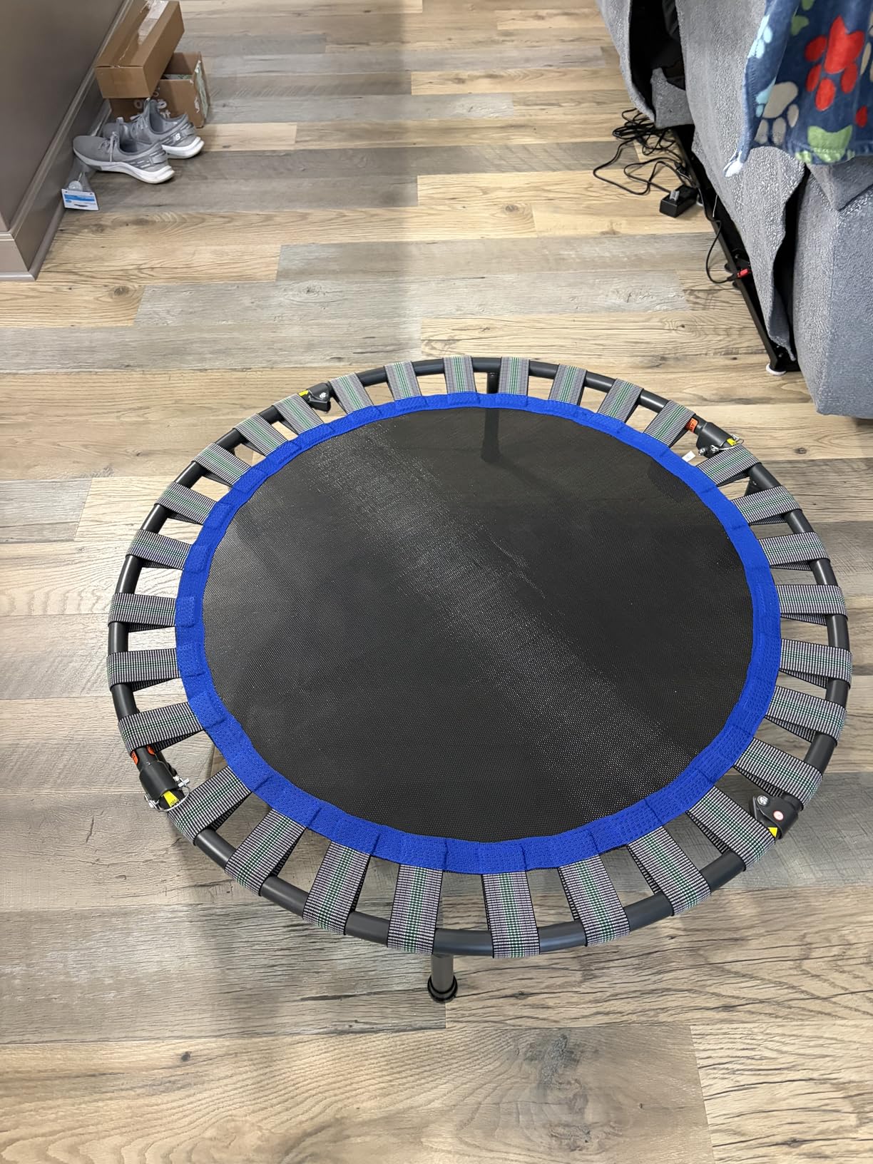 Stamina 36