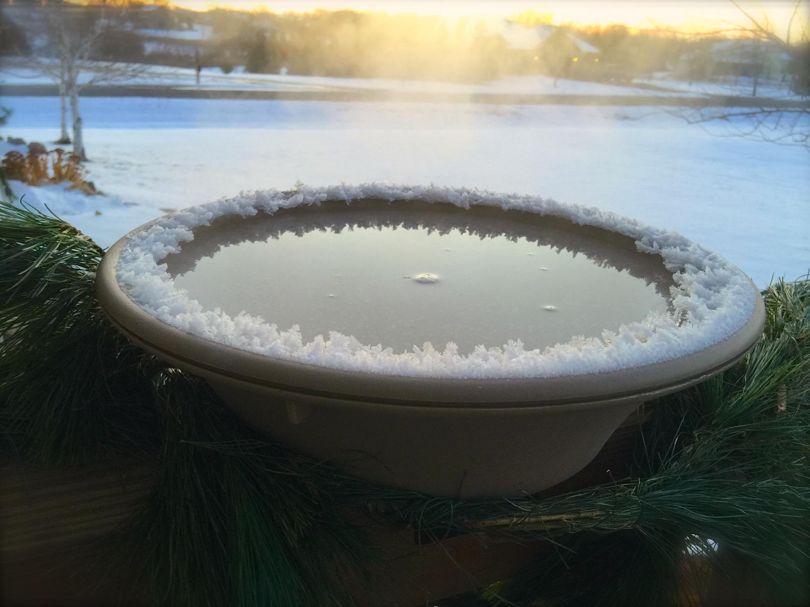 Allied Precision Industries 14B Four Seasons Heated Bird Bath with EZ Tilt Deck Mount and Pole Mount, 14-Inch customer photo 1