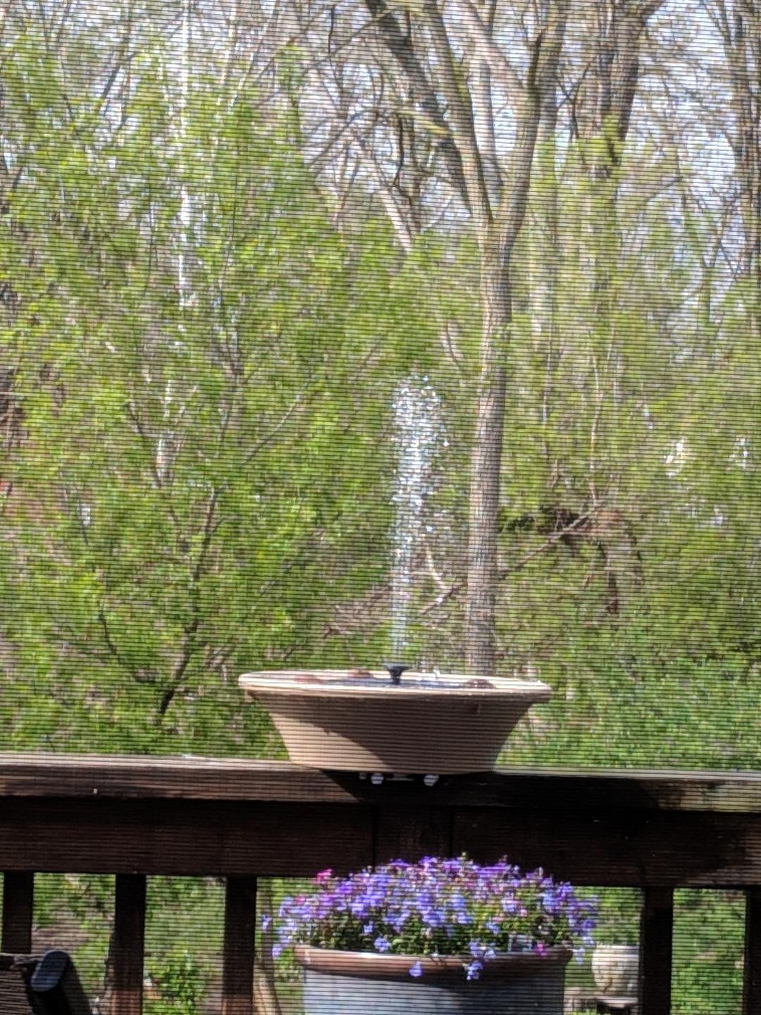 Allied Precision Industries 14B Four Seasons Heated Bird Bath with EZ Tilt Deck Mount and Pole Mount, 14-Inch customer photo 2