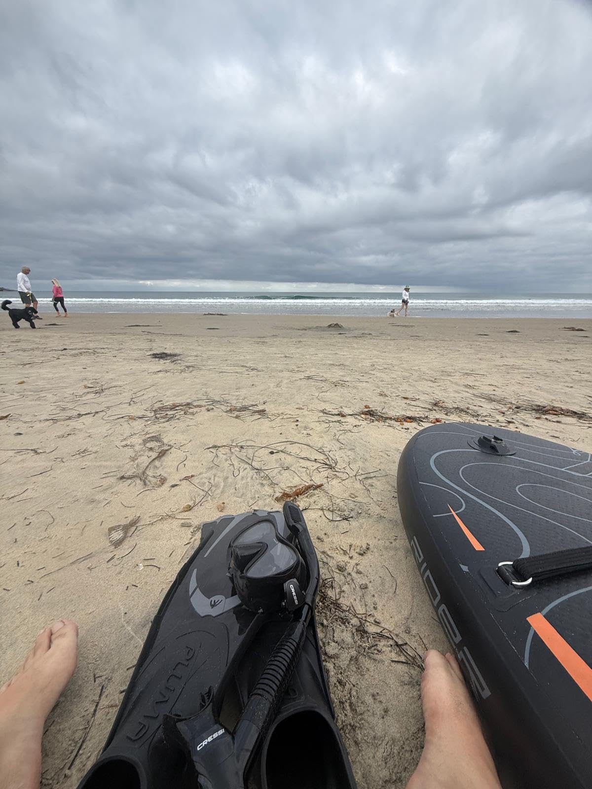 Cressi Adult Snorkeling Full Foot Pocket Fins Made with Advanced Technology - Pluma: Made in Italy customer photo 1