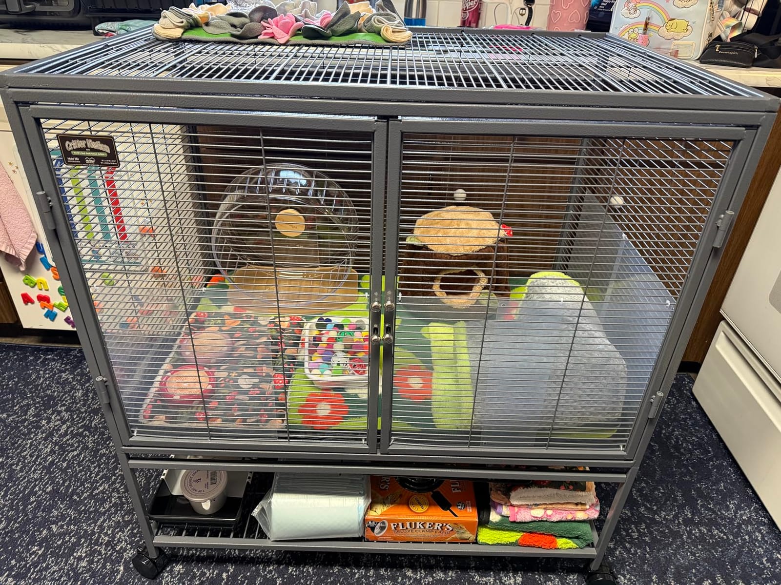 Critter Nation by MidWest Single Unit Small Animal Cage | Habitat for Rats, Chinchillas, Ferrets & Sugar Gliders customer photo 1