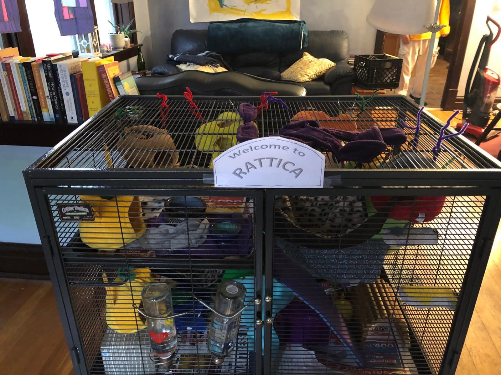 Critter Nation by MidWest Single Unit Small Animal Cage | Habitat for Rats, Chinchillas, Ferrets & Sugar Gliders customer photo 2