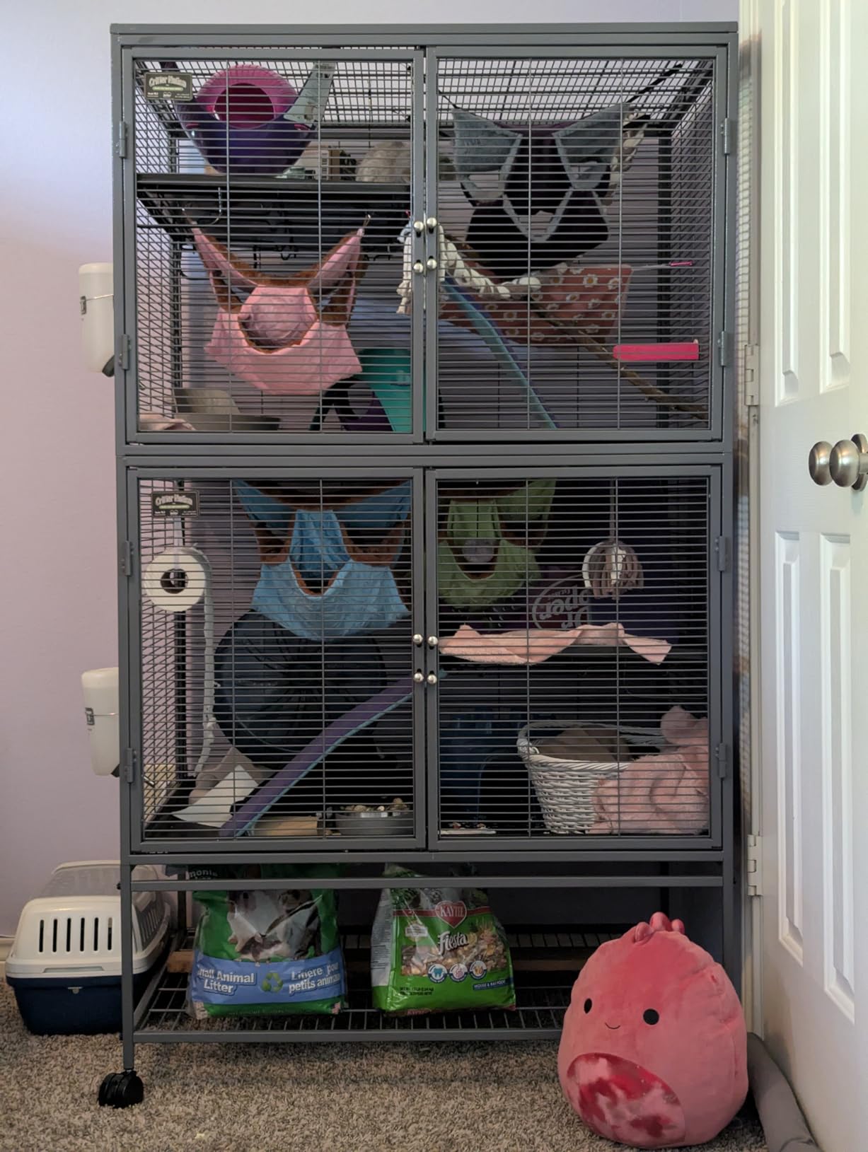 Critter Nation by MidWest Homes for Pets Double Unit Small Animal Cage, Habitat for Rats, Chinchillas, Ferrets, Sugar Gliders, Tool-Free Assembly, with Full-Width Doors, Shelves & Removable Base Pans customer photo 2