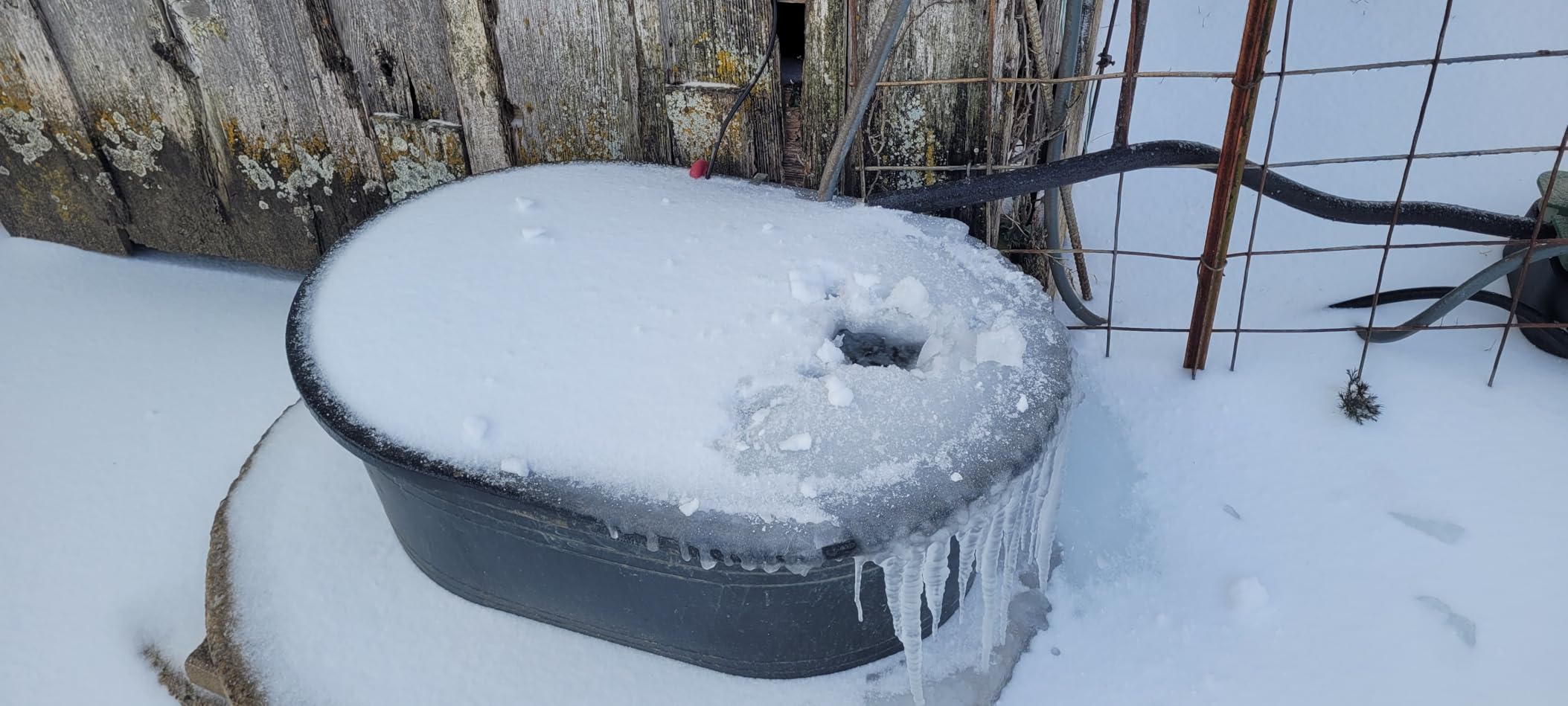 K&H Pet Products Stock Tank & Pond Heater, Ultimate Stock Tank Deicer w/ Cord Clip, Water Trough Heater for Horses, Cattle and Livestock, Full Cage, Floating, Submersible, Safety Listed - Red 500W customer photo 2