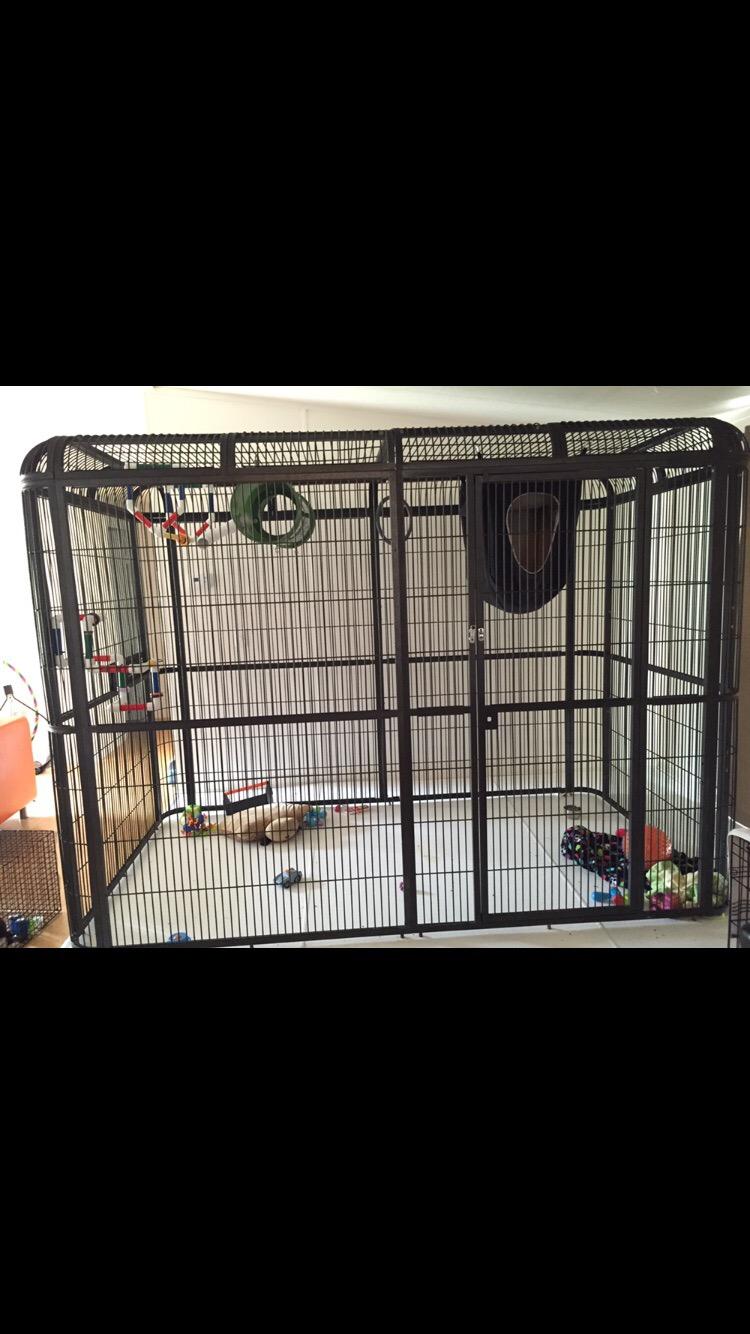 A&E Cage Co WI8662 Black Walk-in Bird Aviary - 86