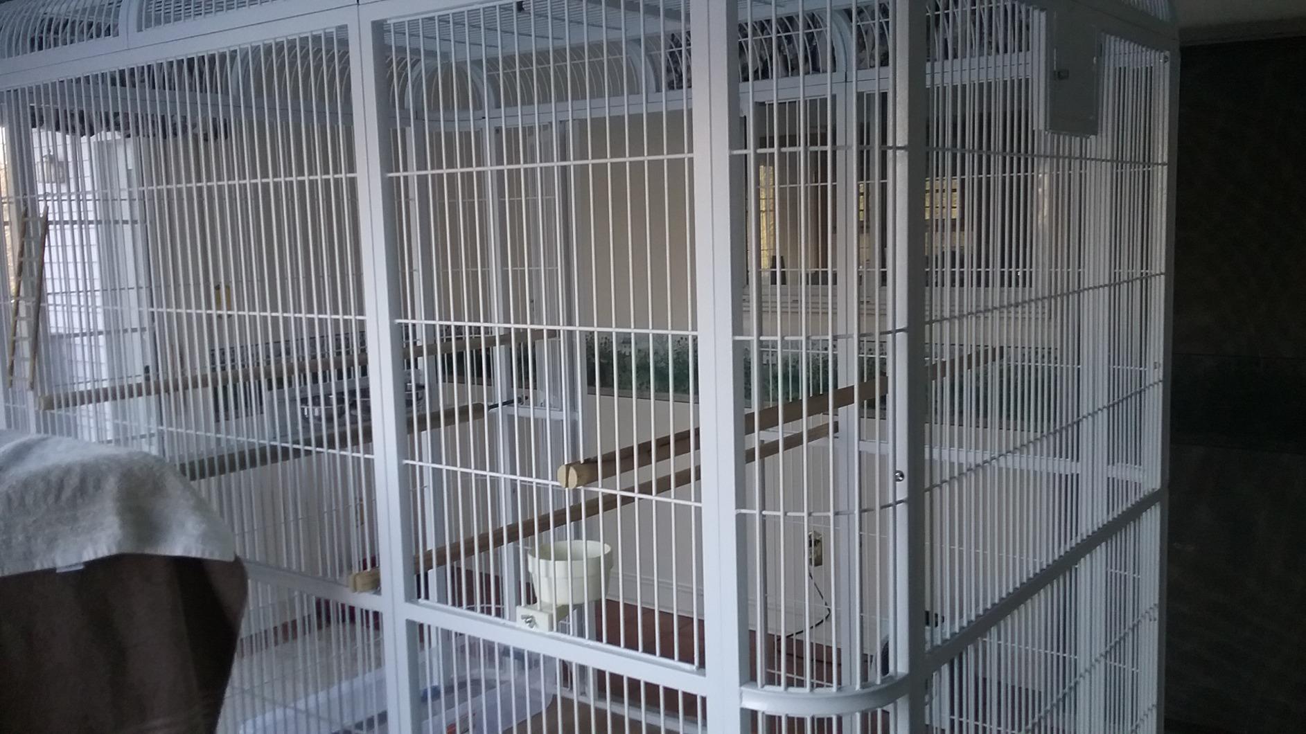A&E Cage Co WI8662 Black Walk-in Bird Aviary - 86