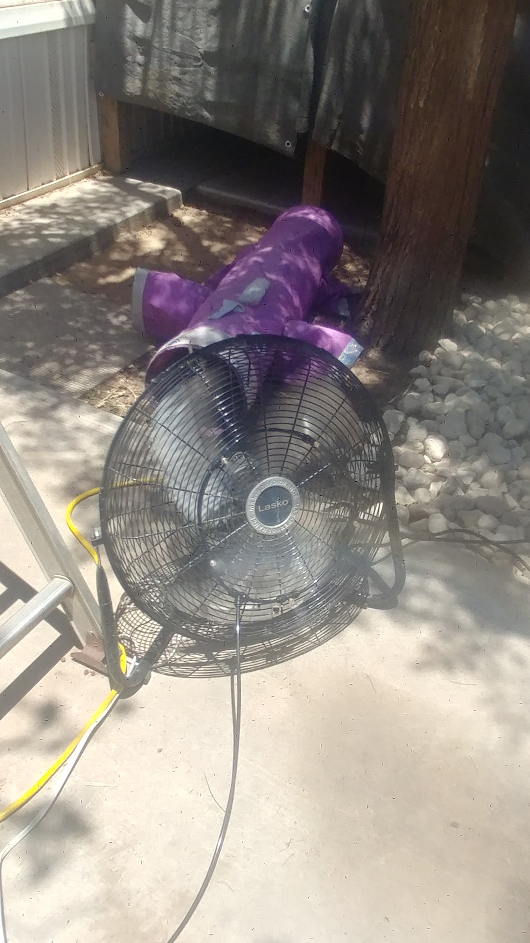 Lasko High Velocity Wall Mount and Floor Fan - 20