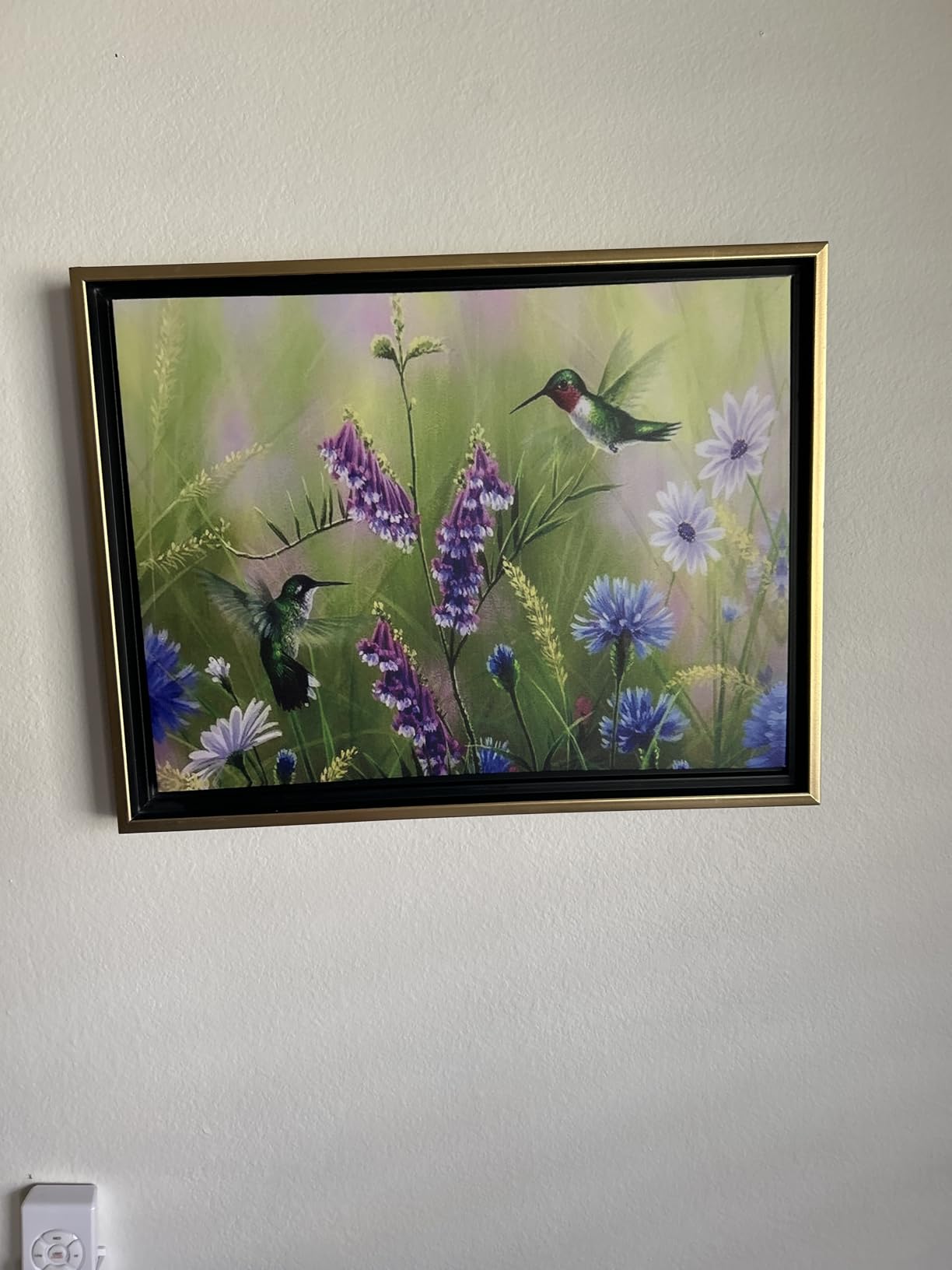 Creative Mark Illusions Floater Frame For 3/4