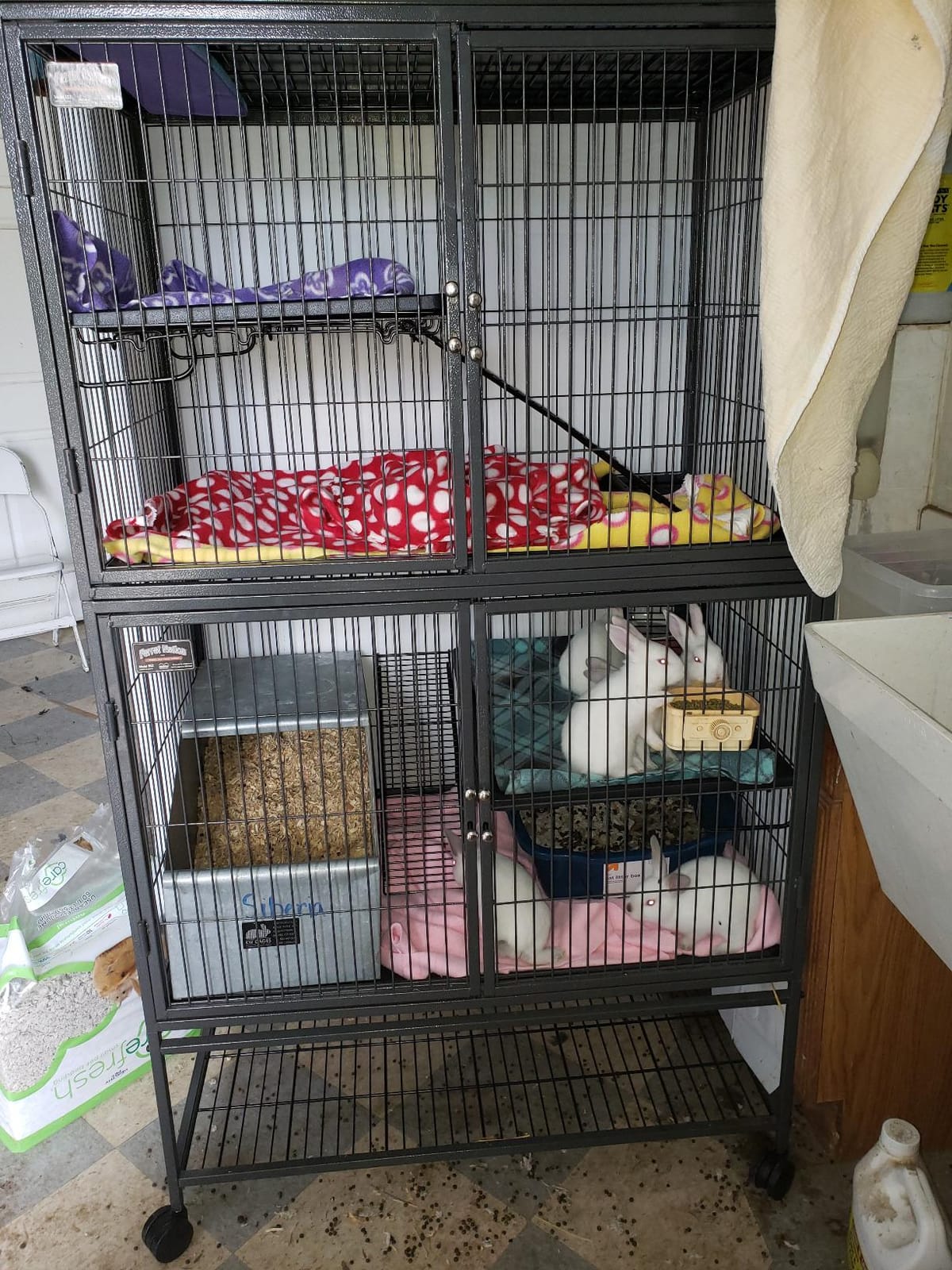 MidWest Homes for Pets Ferret Nation Double Unit Small Animal Cage, 4 Tiers, Includes Pans, Shelves, Ramps & Covers, For Ferrets & Small Animals customer photo 2