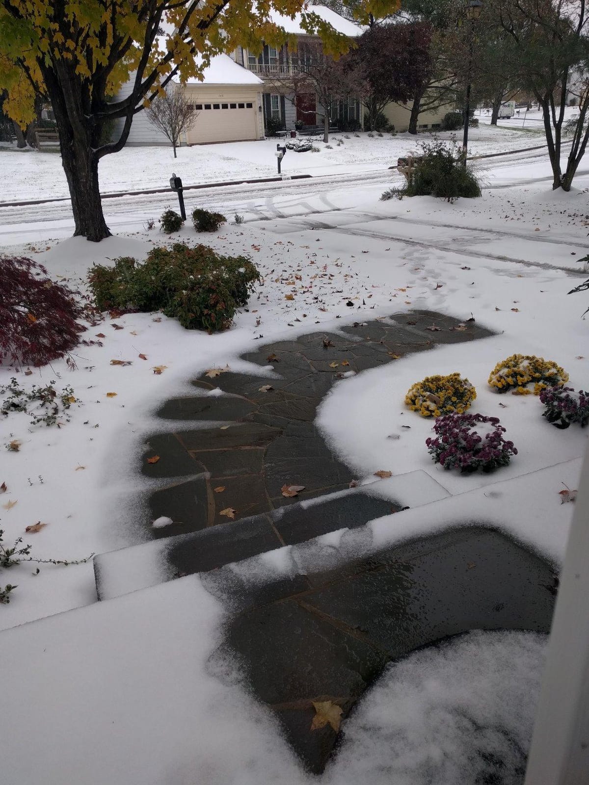 WarmlyYours PowerMat Snow Melting Mat, 3 x 15 ft, 45 sqft | Electric ice melting and snow removal mat embeds in asphalt, concrete, or mortar under pavers, for walkways, patios, ramps customer photo 1