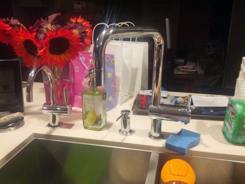 InSinkErator F-H3300SN Modern Instant Hot Water Dispenser, Satin Nickel customer photo 2