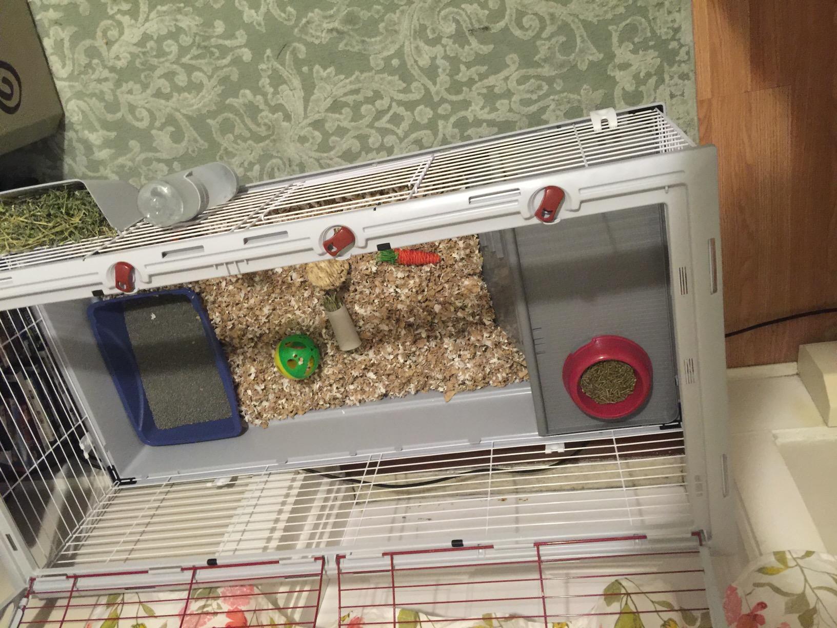 Living World - Deluxe Hybrid Habitat, X-Large | Rabbit, Guinea Pig, Chinchillas, and Small Animal Cage customer photo 1