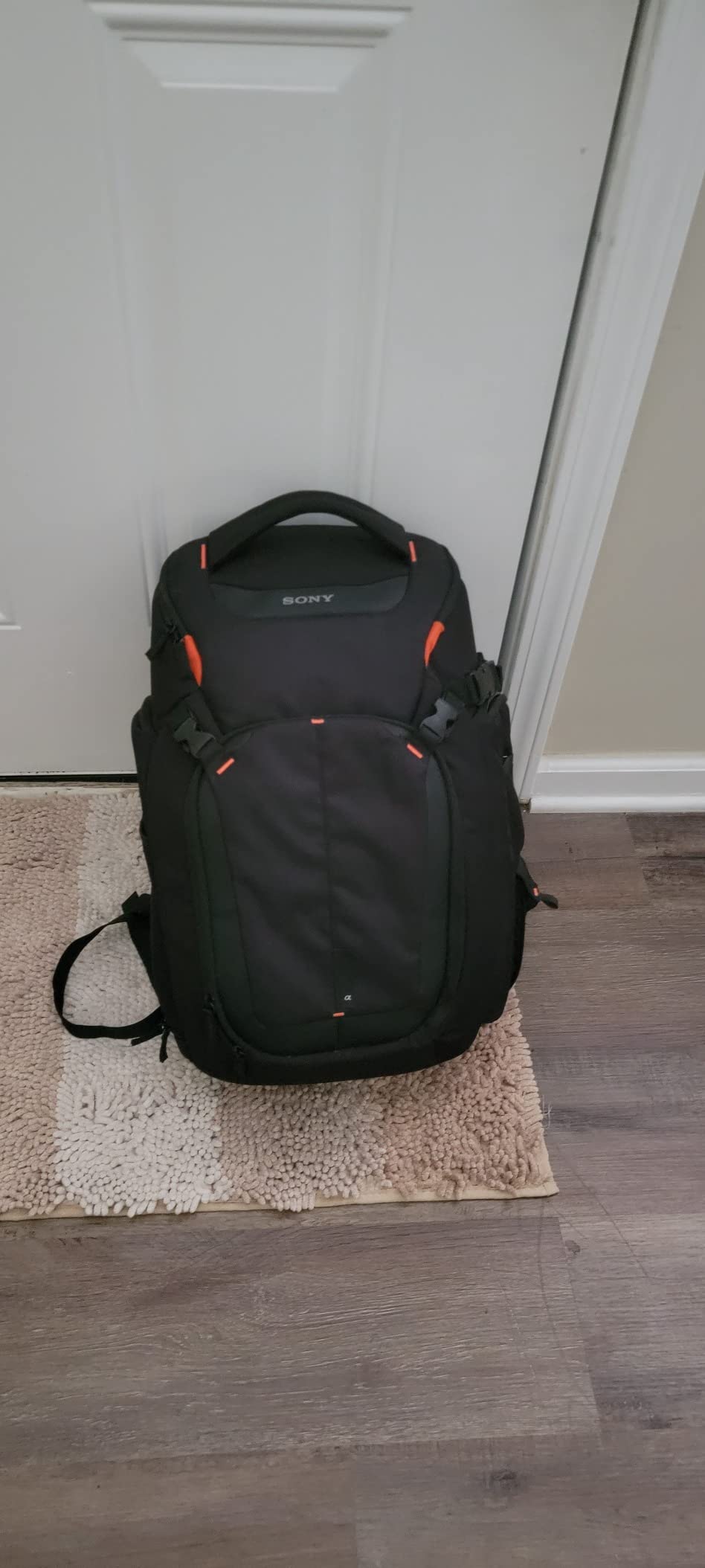 Sony LCSBP3 DSLR System Backpack with Laptop Storage, (Black), Large customer photo 1