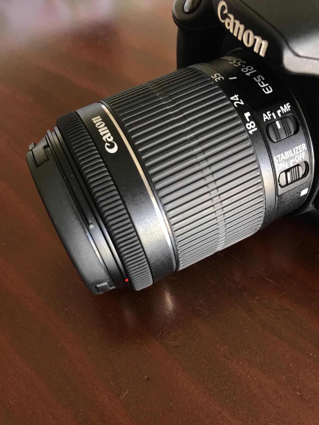 Canon EF-S 18-55mm f/3.5-5.6 is STM Camera Lens customer photo 1
