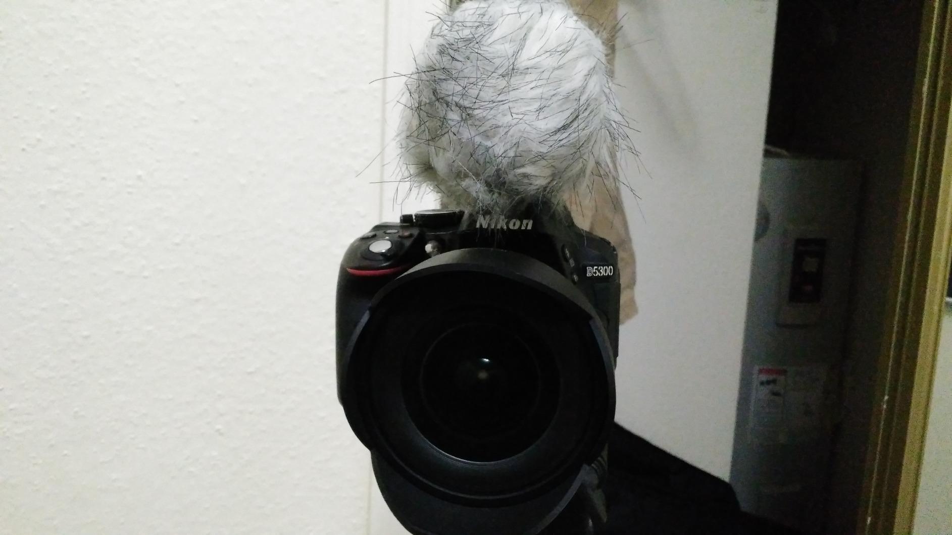 Movo WS1 Furry Microphone Windscreen customer photo 1