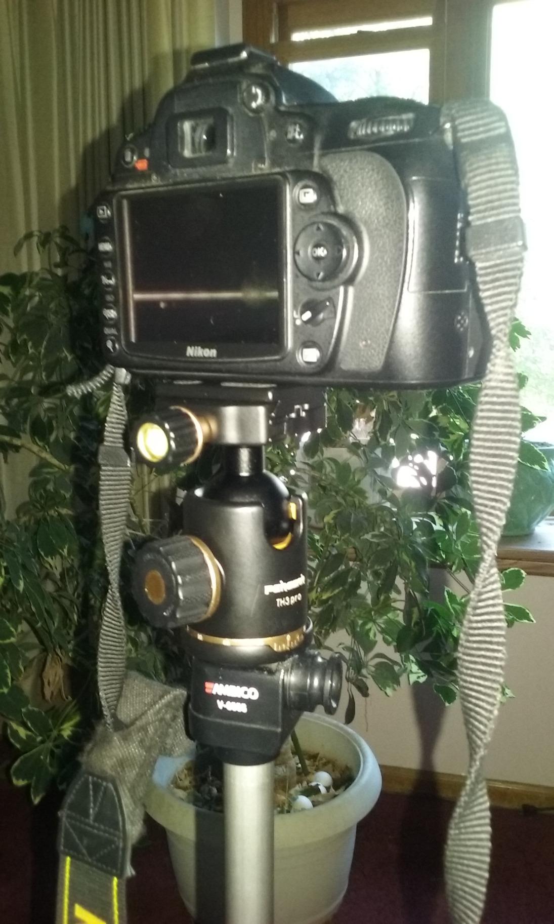 PERGEAR 36mm Aluminum Tripod Ball Head, Max Load up to 17.6lb/8kg, 360° Panoramic Rotation with 1/4 Quick Release Plate Bubble Level for DSLR Camera, Slider, Tripod, Light, Camcorder, Monopod customer photo 1