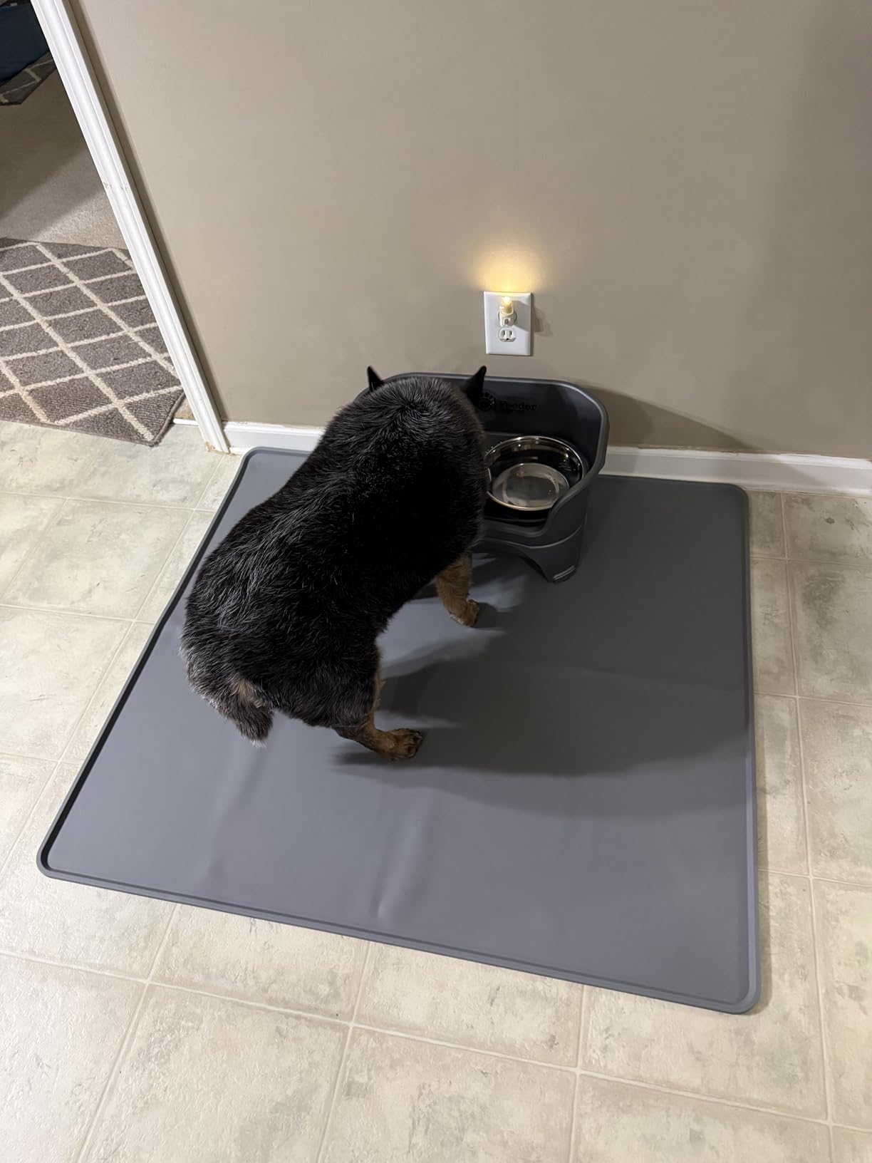 Neater Feeder Express Mess Proof Dog Bowls Elevated for Medium to Large Sized Breed, No Spill Raised Dog Food Bowl Stand, Stainless Steel Food and Water Bowl Set customer photo 1