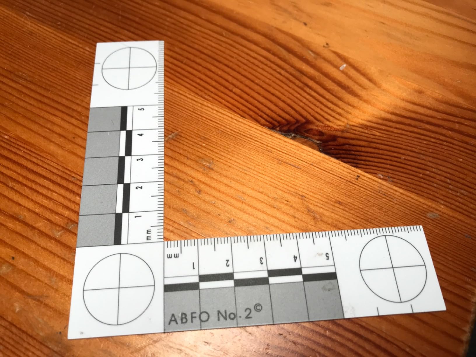 Crime Scene Photomacrographic Scale (No.2-Inches) customer photo 2