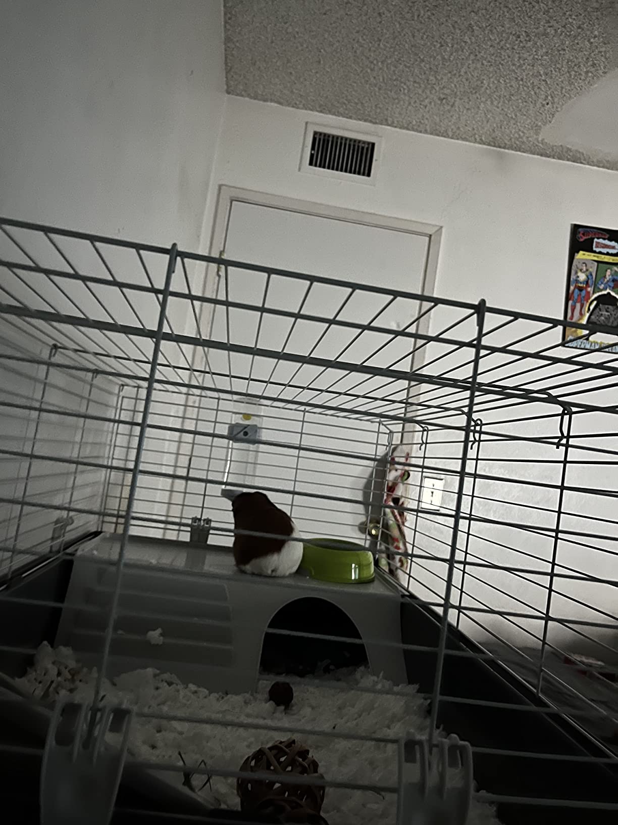 Ferplast Cavie Guinea Pig Cage & Rabbit Cage | Pet Cage Includes All Accessories to Get You Started & a 1-Year Warranty customer photo 2