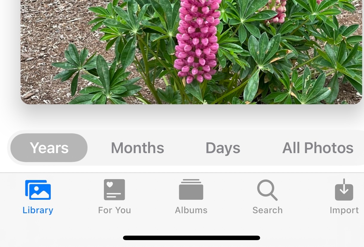 Apple Lightning to SD Card Camera Reader customer photo 1