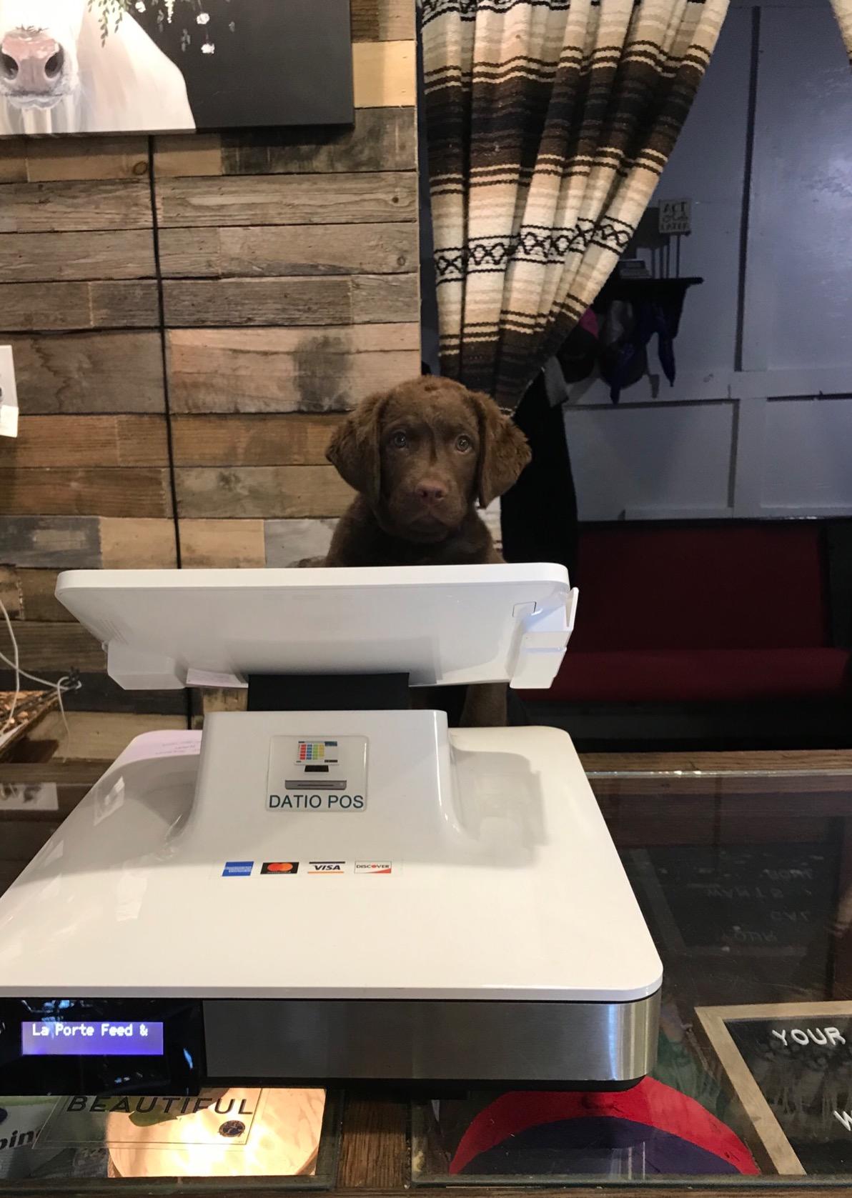 Datio POS Point of Sale Base Station and Cash Register for iPad with Point of Sale (POS) Software customer photo 1
