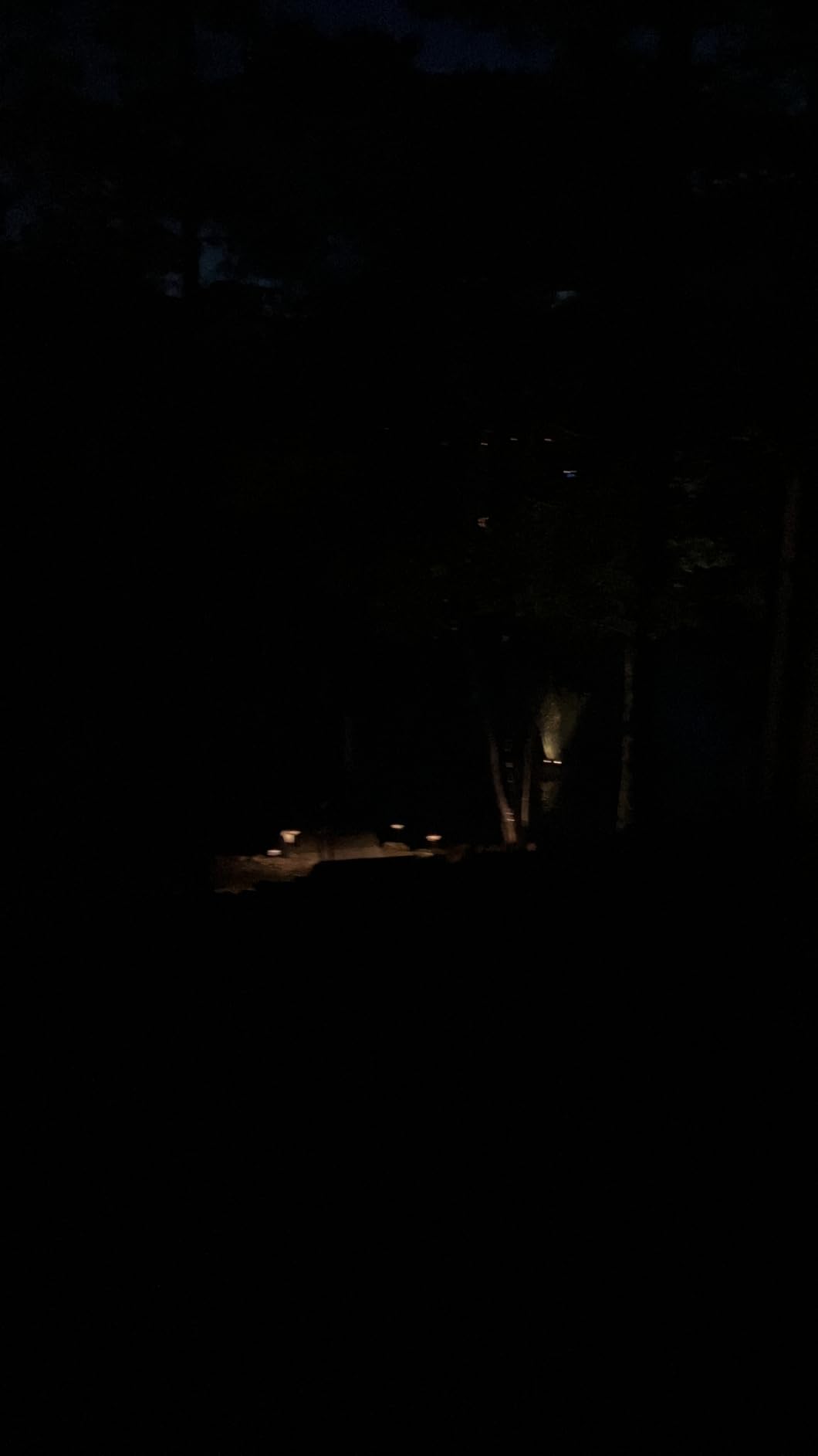 Pond Boss DFTN12003L Floating Fountain With Lights, 50 Foot Power Cord, 1/4 hp customer photo 2