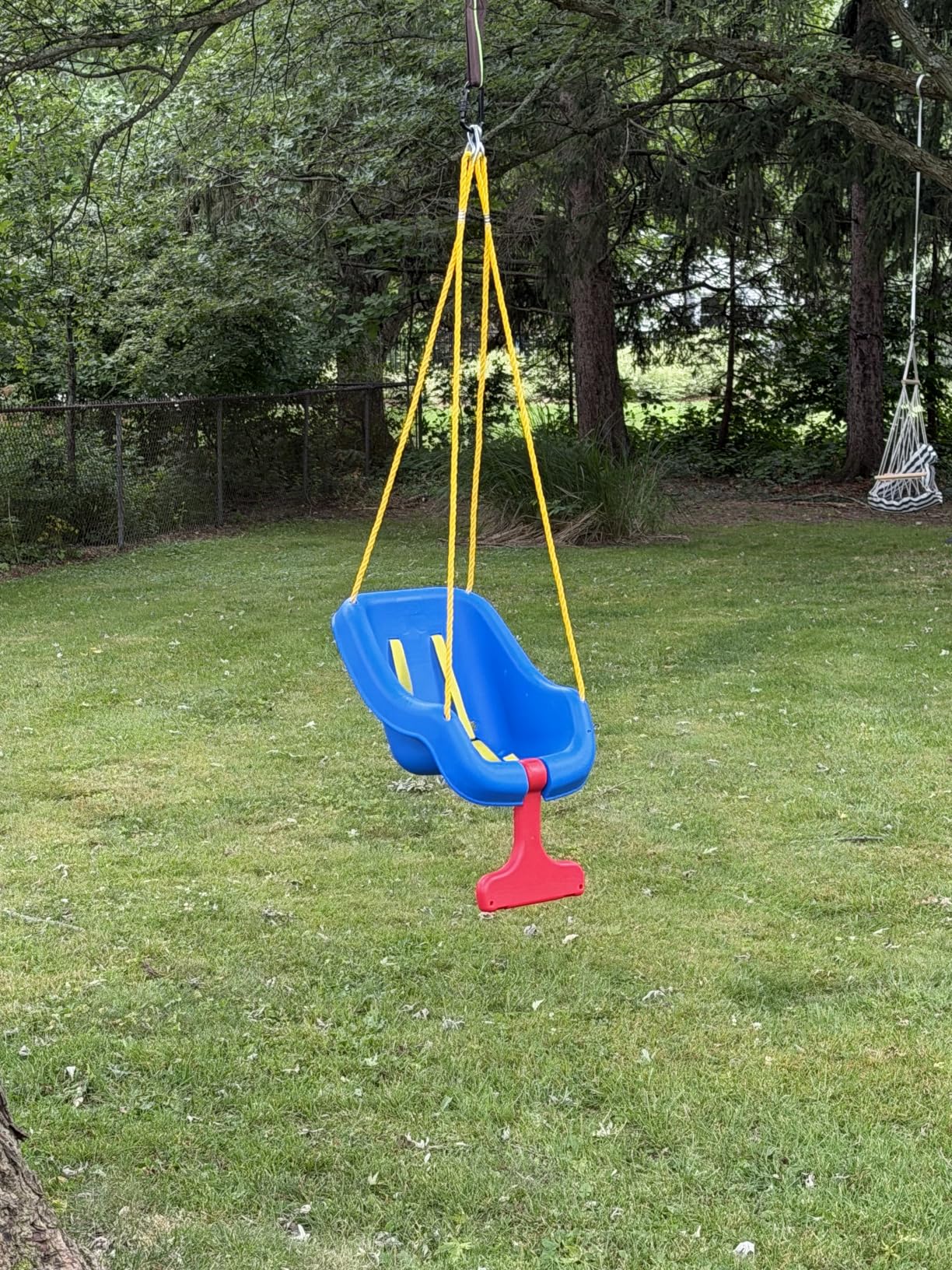 Little Tikes Snug 'n Secure Blue Swing with Adjustable Straps, 2-in-1 for Baby and Toddlers Ages 9 Months - 4 Years customer photo 1