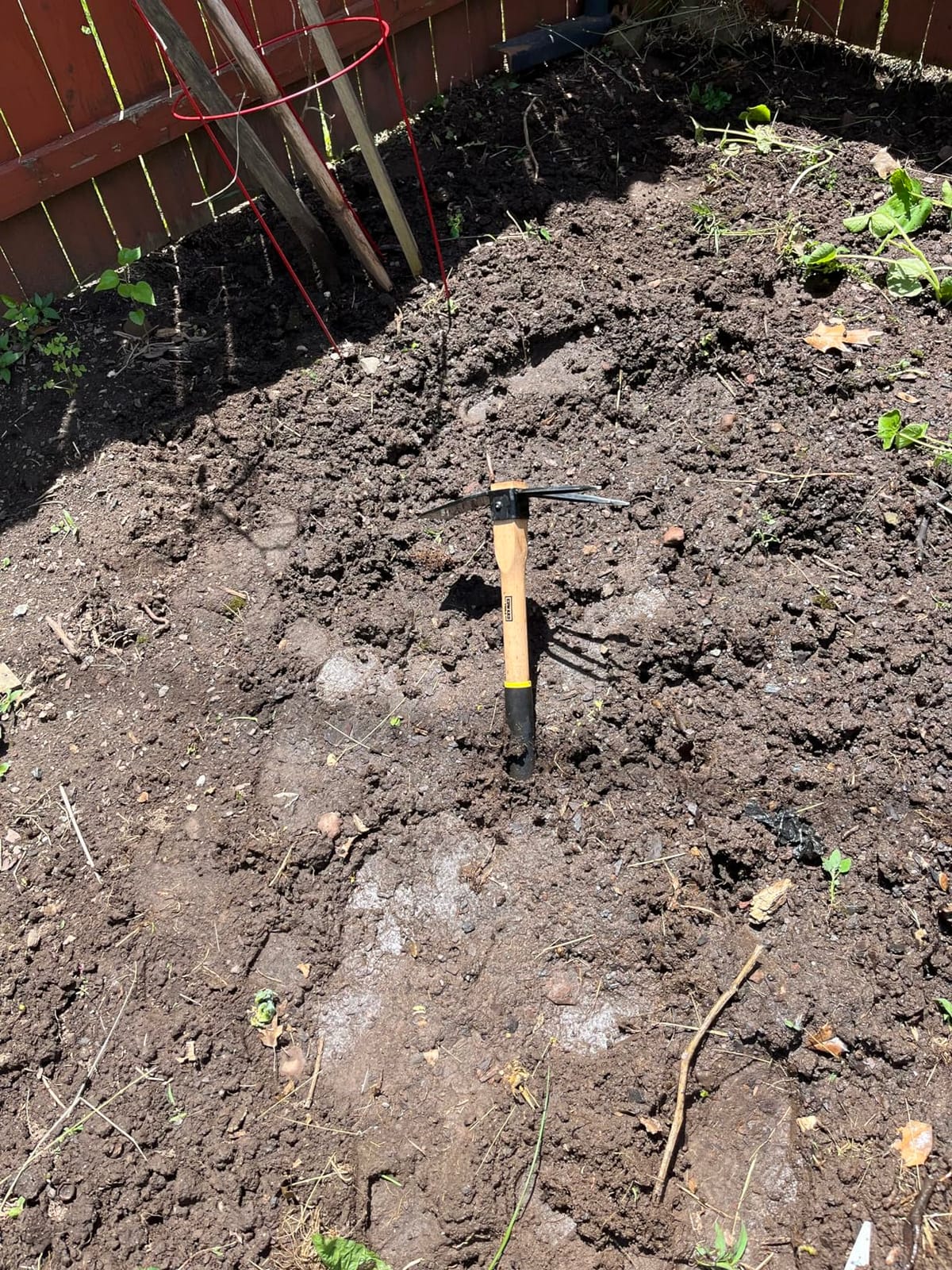 Edward Tools Hoe and Cultivator Hand Tiller - Carbon Steel Blade - Heavy Duty for loosening Soil, Weeding and Digging - Rubber Ergo Grip Handle - Rust Proof customer photo 2