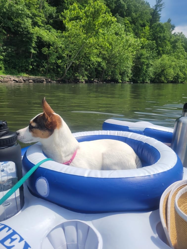 Intex Inflatable Mega Chill Cooler Float with Built-in Cup Holders customer photo 2