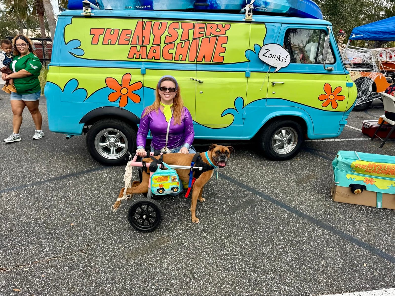 Walkin' Wheels Dog Wheelchair - for Med/Large Dogs 50-69 lbs - Veterinarian Approved - Dog Wheelchair for Back Legs customer photo 1