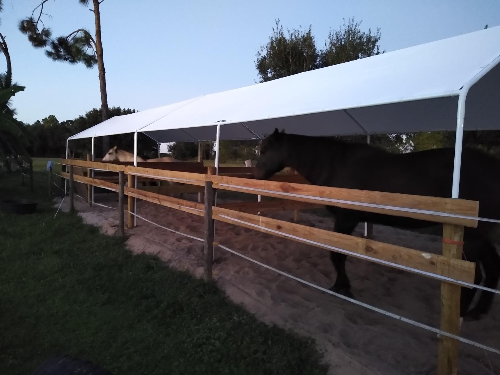 Quictent 10x20 ft Heavy Duty Carport Canopy Galvanized Car Tent Outdoor Garage Boat Shelter with Reinforced Structure, No Sidewall - White customer photo 1