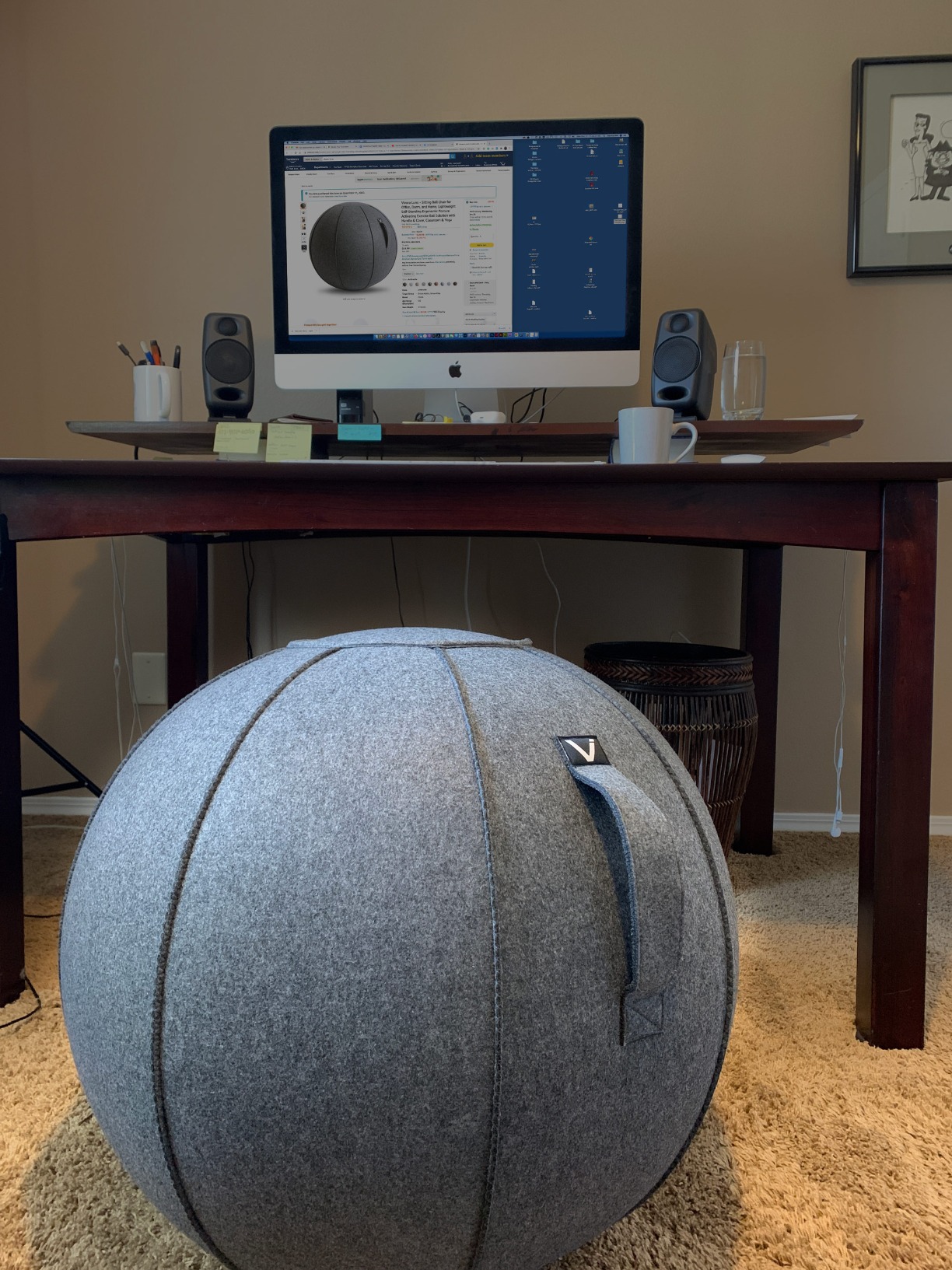Vivora Luno Premium Ergonomic Sitting Ball Chair, Felt, Standard Size (22 to 24 inches), for Home Offices, Balance Training, Yoga Ball, Posture Improvement customer photo 2