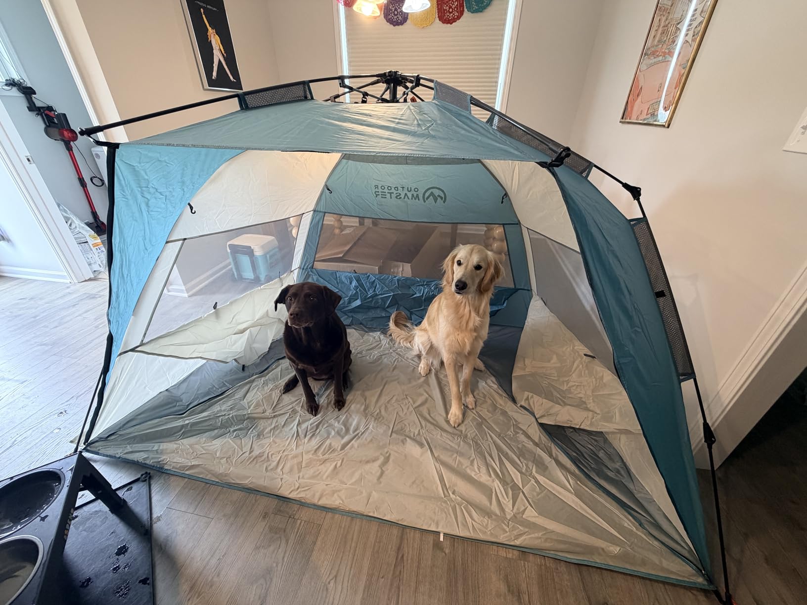 OutdoorMaster Beach Tent Sun Shelter for 3-4 Person, Pop Up Beach Tent Easy Setup with Sandbags, Portable Sun Shade Canopy with Carrying Bag for Beach & Outdoor, UPF50+ UV Protection, Family Size customer photo 2
