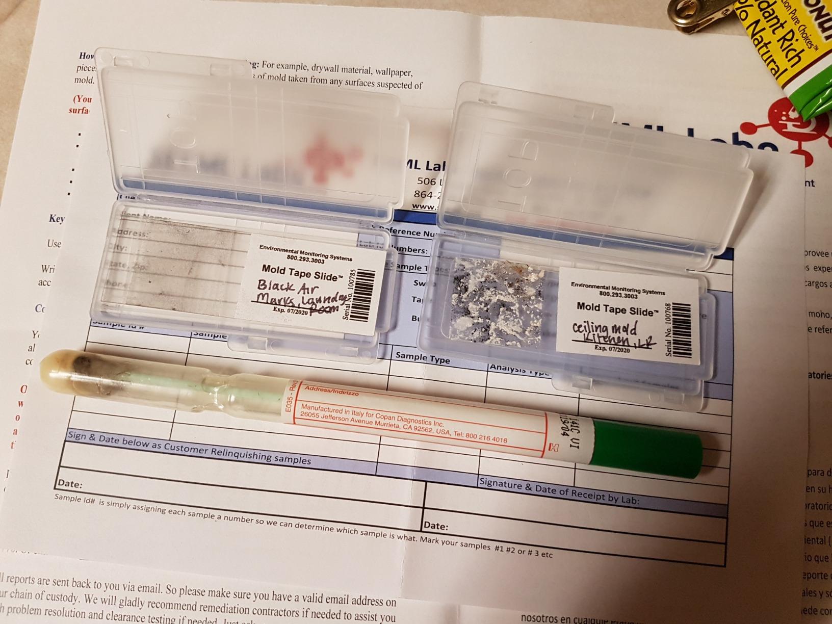 DIY Mold 3 Test Kit (Same Day Results) Expert Consultation and AIHA-LAP, LLC Accredited Lab Analysis Included customer photo 2