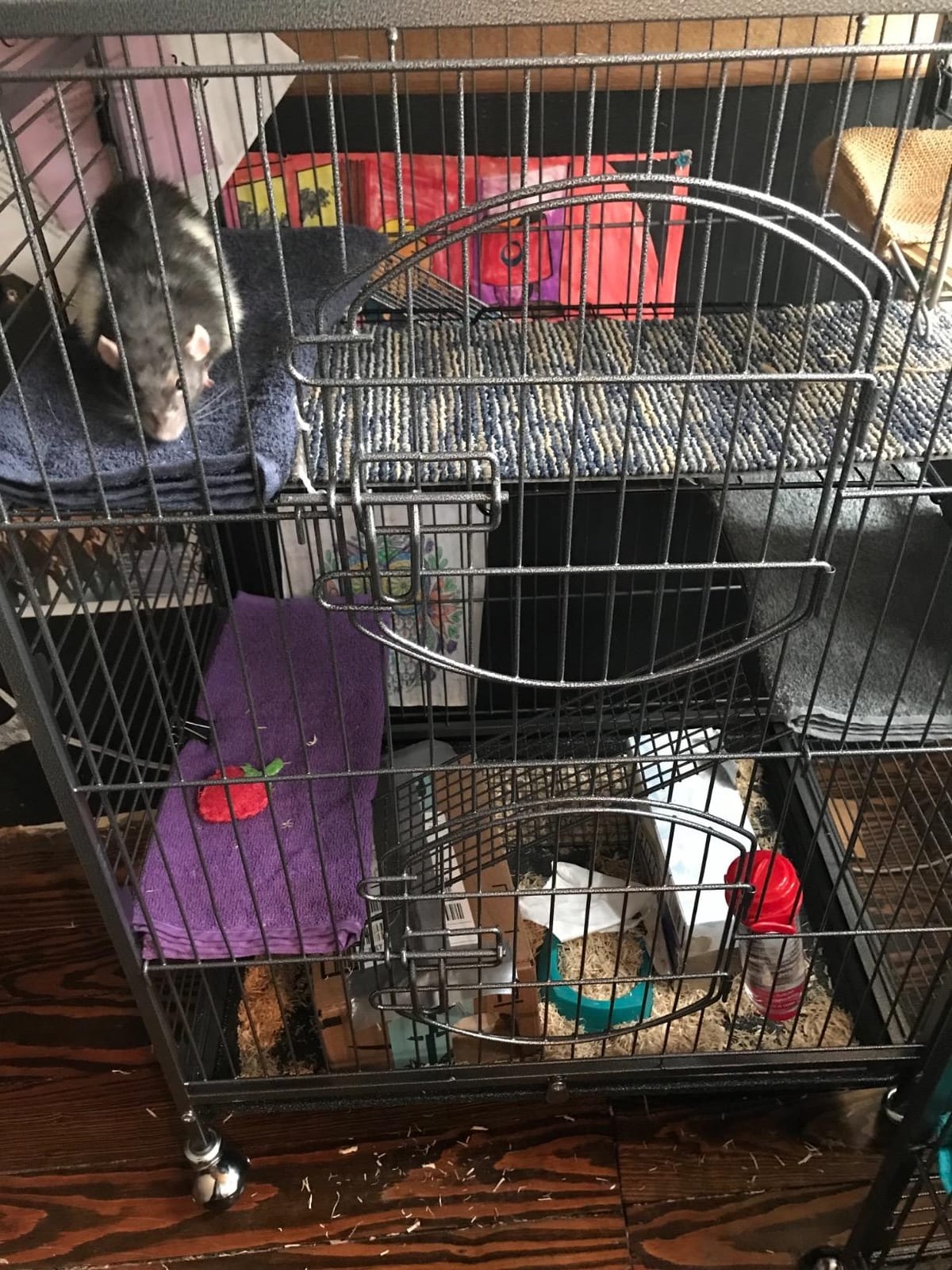 Yaheetech 52-inch Ferret Cage 6 Level Metal Rat Cage with 3 Front Doors/Feeder/Wheels Small Animal Cage for Ferret/Chinchilla/Bunny/Rabbit/Squirrel, Black customer photo 1