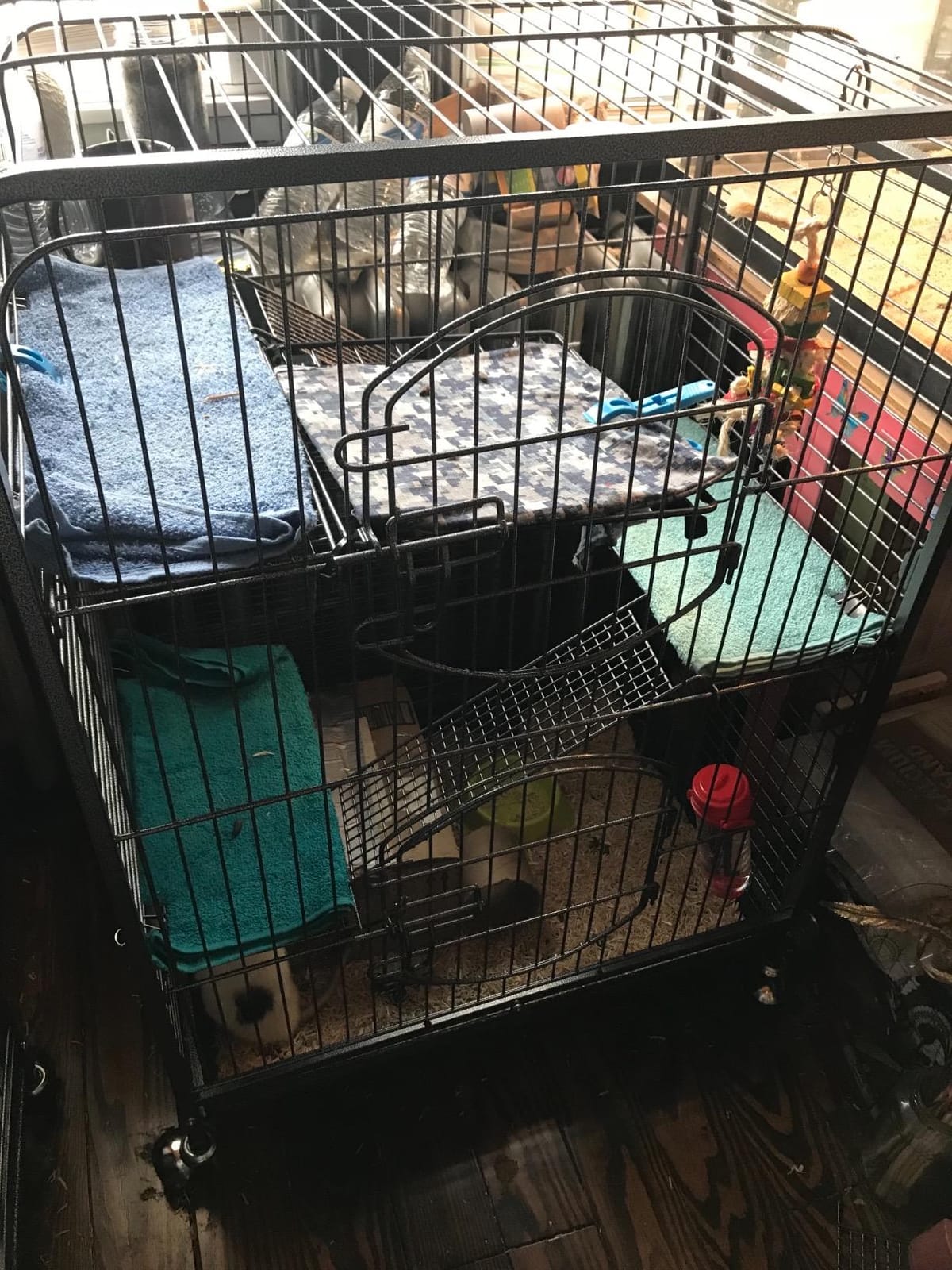 Yaheetech 52-inch Ferret Cage 6 Level Metal Rat Cage with 3 Front Doors/Feeder/Wheels Small Animal Cage for Ferret/Chinchilla/Bunny/Rabbit/Squirrel, Black customer photo 2