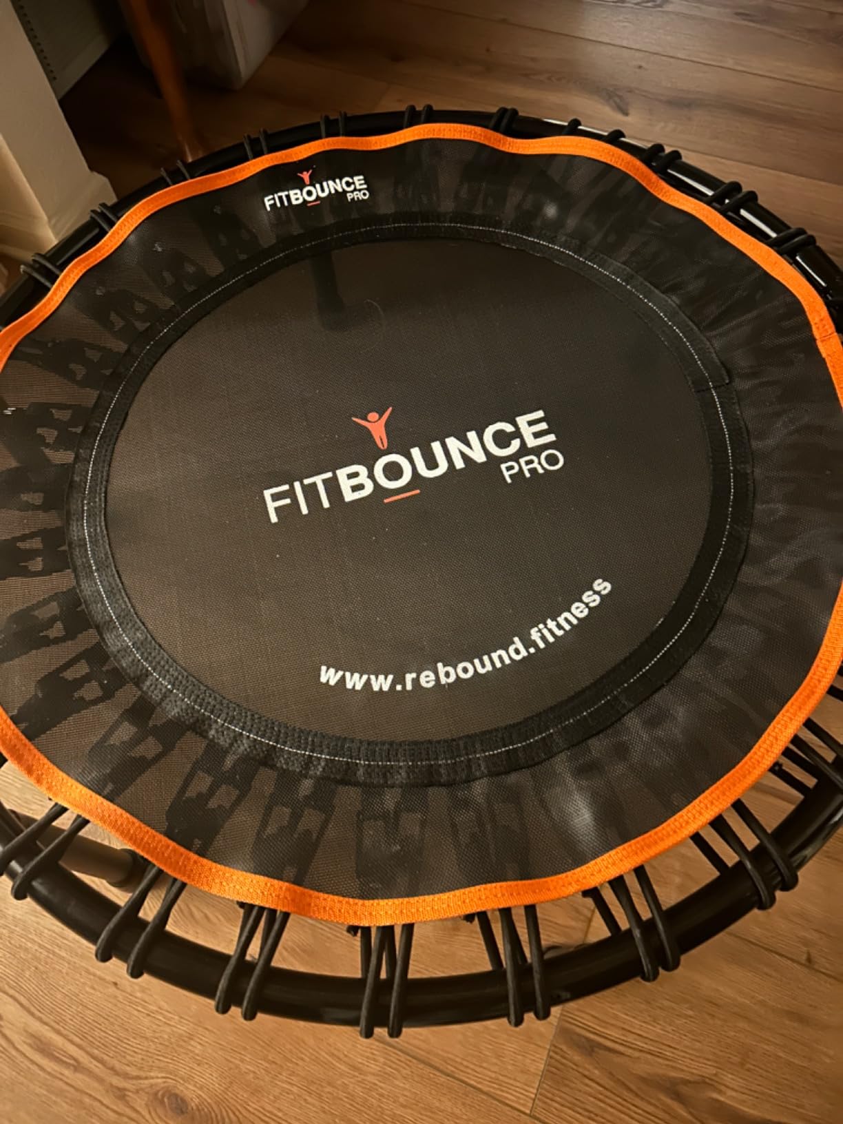 MXL FIT Bounce PRO Bungee Rebounder - Premium Indoor Mini Trampoline for Adults, Silent Low-Impact Bounce, Half-Folding with Foldable Steel Legs & Carry Bag - 40 in, 400lb customer photo 1