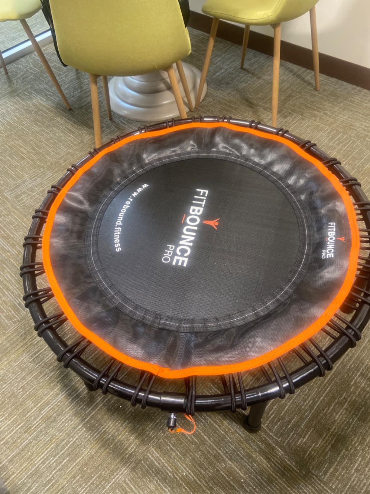 MXL FIT Bounce PRO Bungee Rebounder - Premium Indoor Mini Trampoline for Adults, Silent Low-Impact Bounce, Half-Folding with Foldable Steel Legs & Carry Bag - 40 in, 400lb customer photo 2
