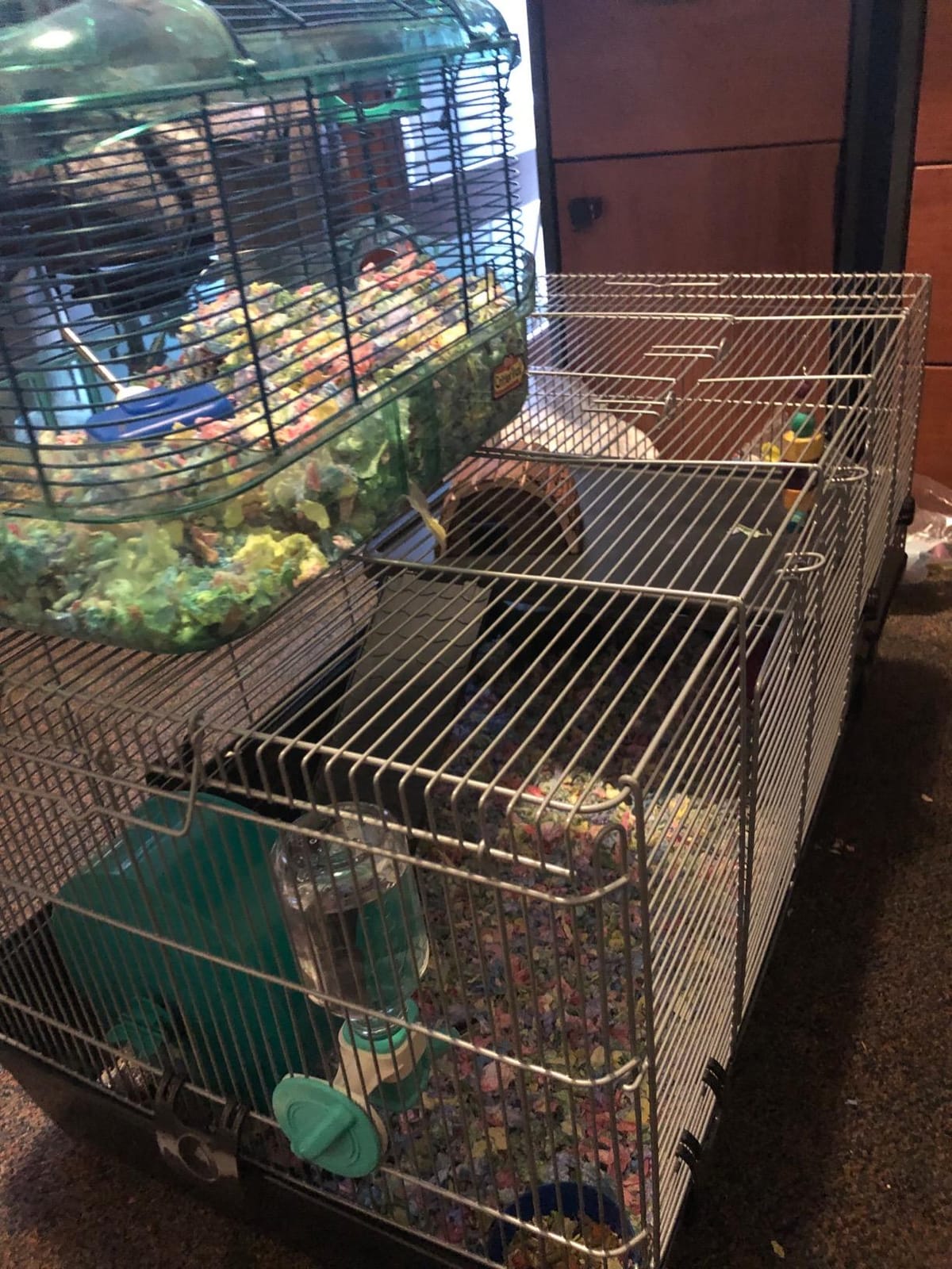 Prevue Pet Products Universal Small Animal Home - Small Animal Cage for Hamsters, Guinea Pigs, Ferrets, Dwarf Rabbits, Rats, Chinchillas, Hedgehogs, Indoor Use, Tight Wire Spacing - Gray customer photo 2